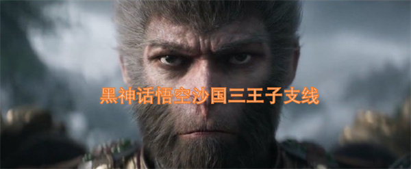 黑神话悟空沙国三王子支线