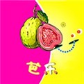 浪花直播免费版