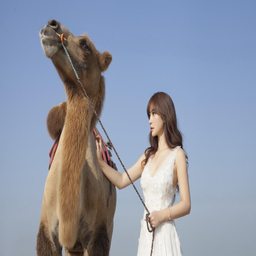 探索Chⅰnese7O丰满BBW的多元化发展与应用